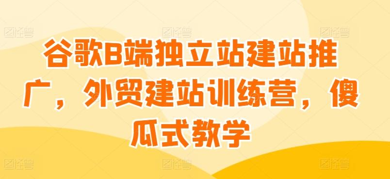 谷歌B端独立站建站推广，外贸建站训练营，傻瓜式教学-天韵资源网