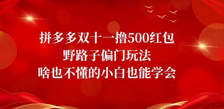 拼多多双十一撸500红包野路子偏门玩法，啥也不懂的小白也能学会【揭秘】-天韵资源网