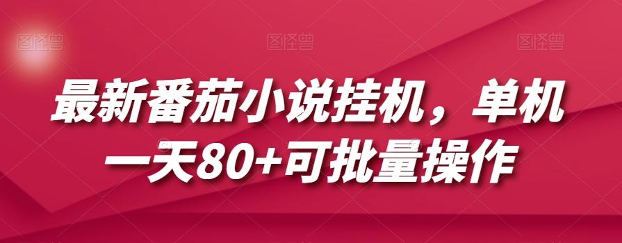 最新番茄小说挂机，单机一天80+可批量操作【揭秘】-天韵资源网