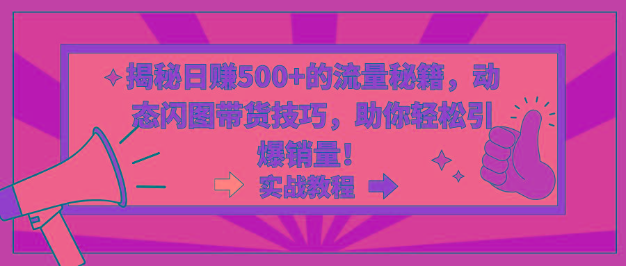 揭秘日赚500+的流量秘籍，动态闪图带货技巧，助你轻松引爆销量！-天韵资源网