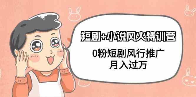 小说+短剧风火特训营，0粉短剧小说风行推广，实现月入过万-天韵资源网