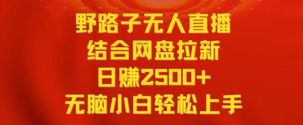 野路子无人直播结合网盘拉新，日赚2500+，小白无脑轻松上手【揭秘】-天韵资源网